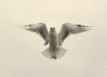 Photography class photo